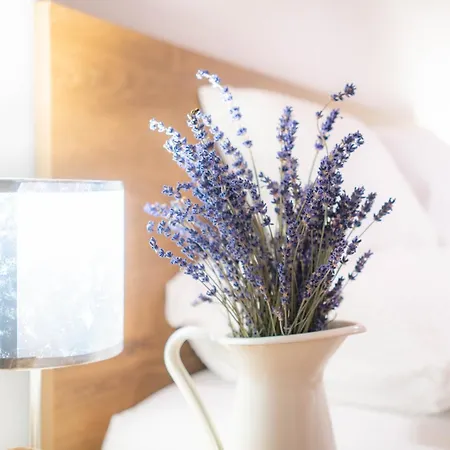 Szentkiralyi38 - Central, Ac, 4 People Apartment Budapest
